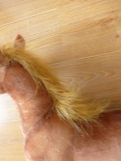 Velky konik plysovy,