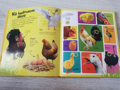 Kniha hovoriaca farma so zvukmi, 