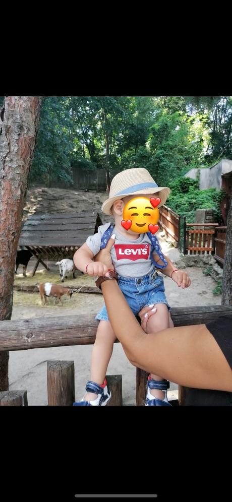 Kratasky zara s trakmi, zara,80