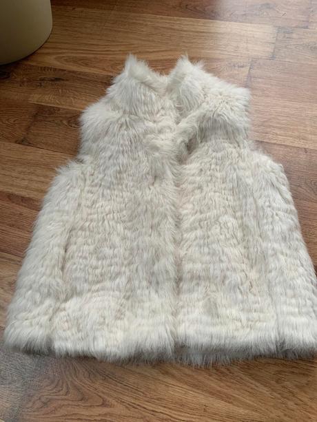 Vesticka mango, mango,110