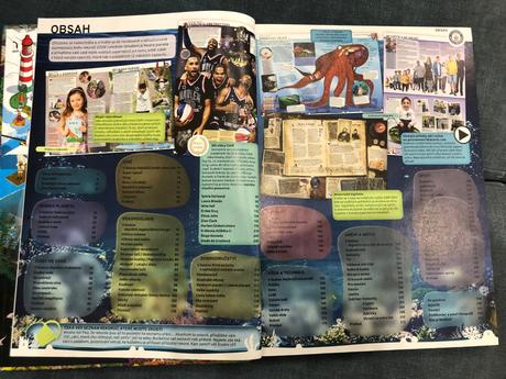 Guinness world records 2024, 