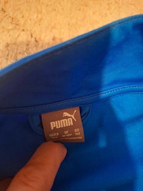 Teplakova suprava, puma,152