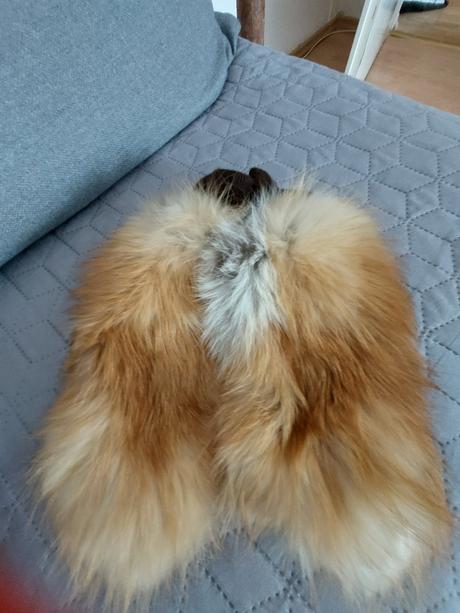 Rukavice kozene líška, s