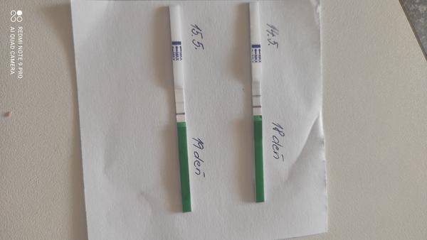 Je tento ovulačný test pozitívny?