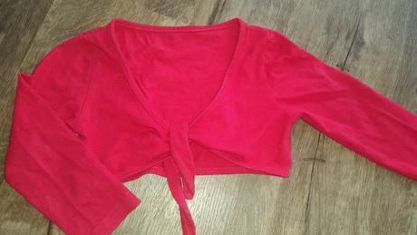 Bolerko, st. bernard,92