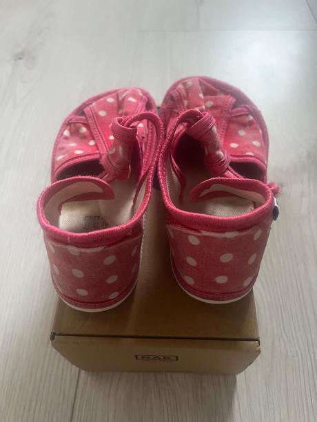 Rak papučky, rak,26