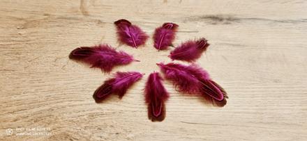 Dekoračné pierka - fuchsia, 