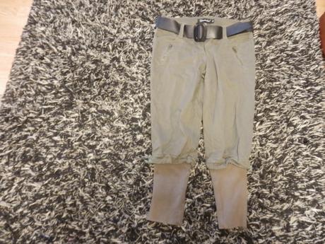 Tristvrtaky-dromedar, 38