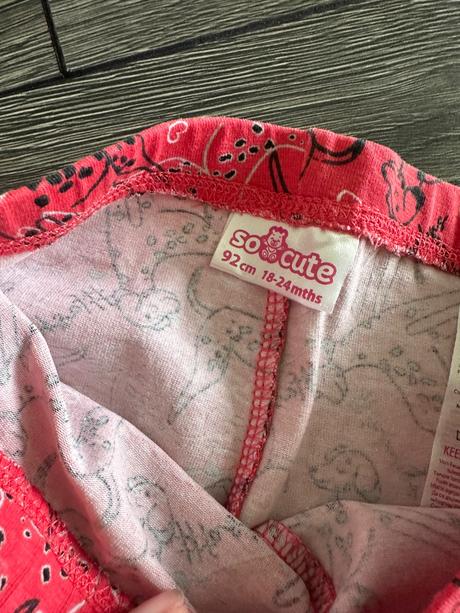 Leginy s dalmatincami, 92