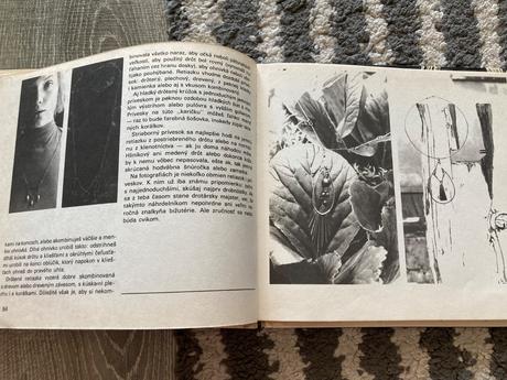 Vysoká škola dievčenskej zručnosti (1976),