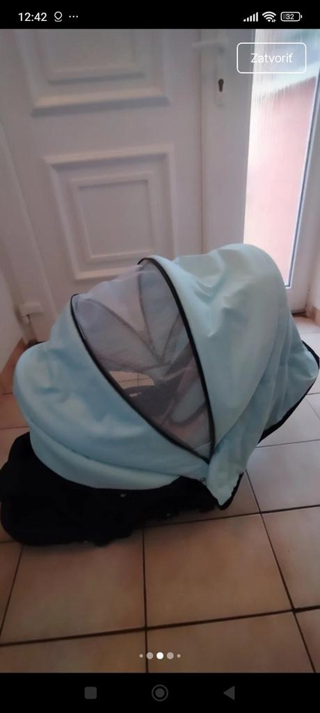 Kočik, paradise baby