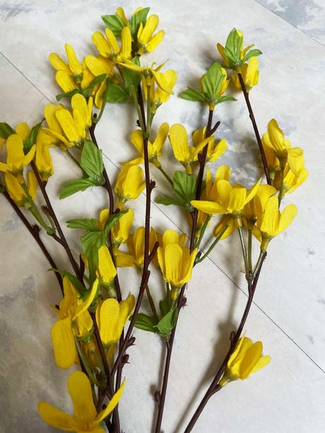 Kytička zlatý dážď, 