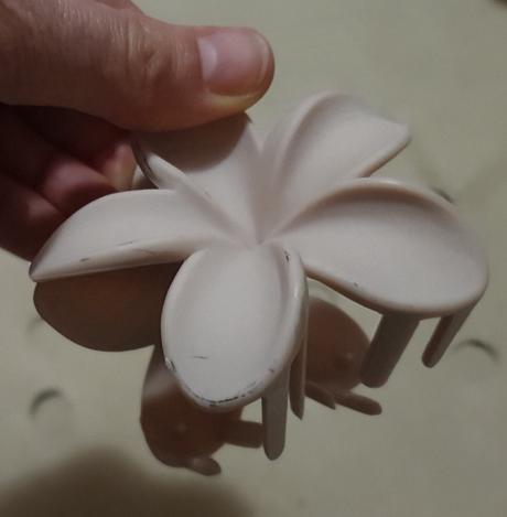 Velky stipec plumeria,
