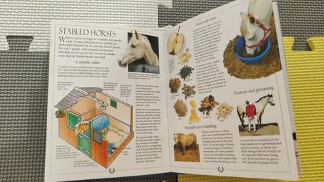 The usburne little book of riding and pony care 2c,