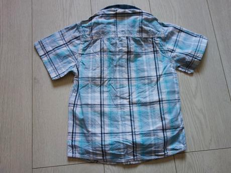 Košela palomino, palomino,110