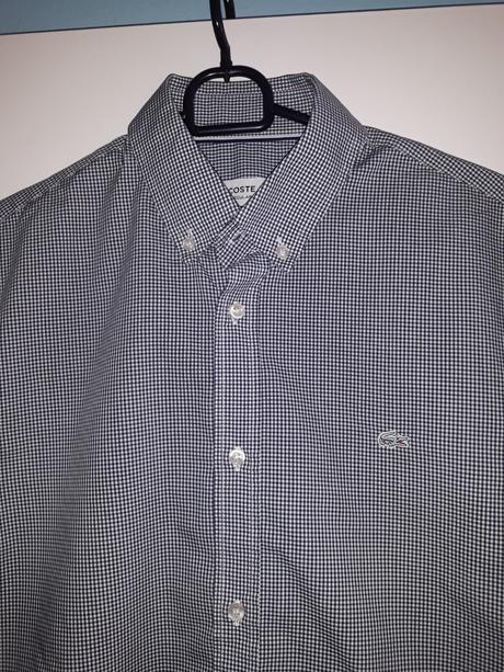 Kosela panska lacoste, lacoste,38