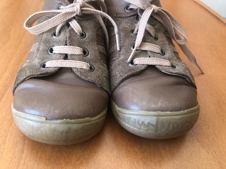 Celokožené rak - 23, rak,23