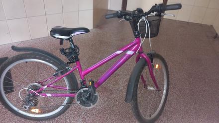 Dievčenský bicykel, 28