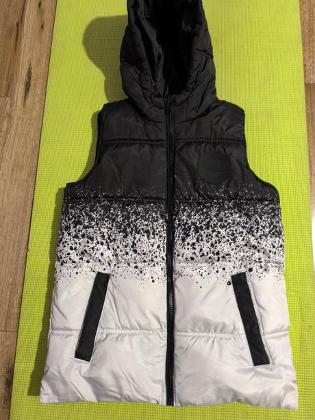 Vesta, chapter young,158