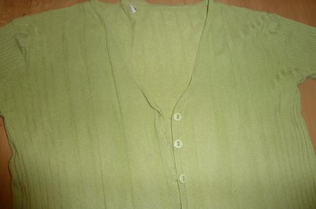 Bledozeleny svetrik, terranova,m