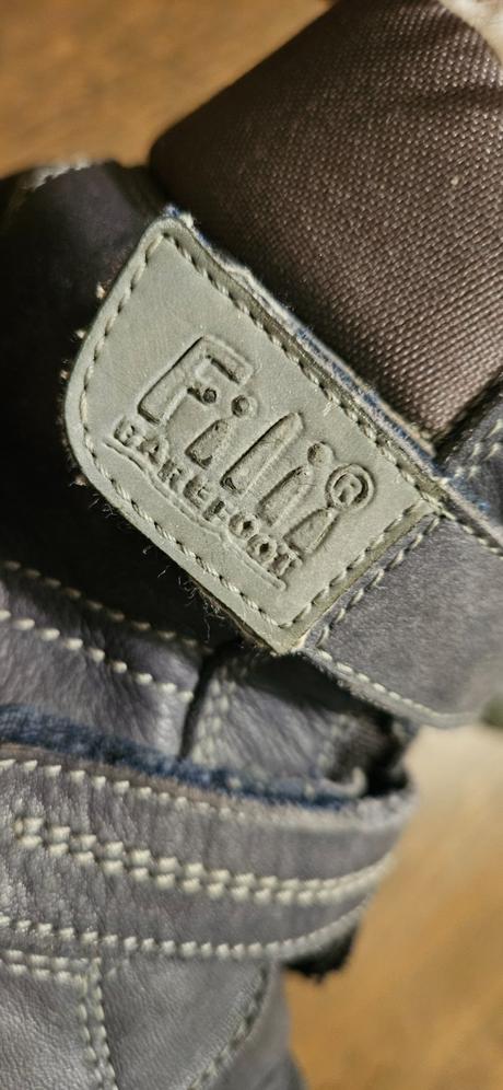 Filii zimne v. 29, filii,29