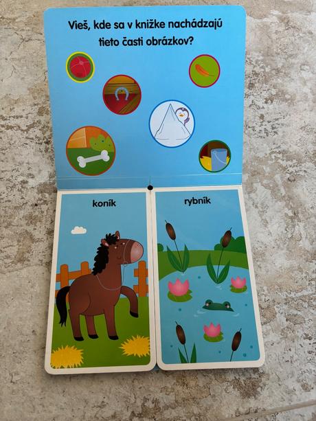Kniha najdi moj domcek, 