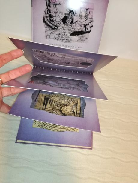 J.k. rowling magical film projections nau20, 