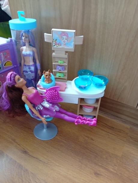 Barbie karavan a zvieraci salon, 