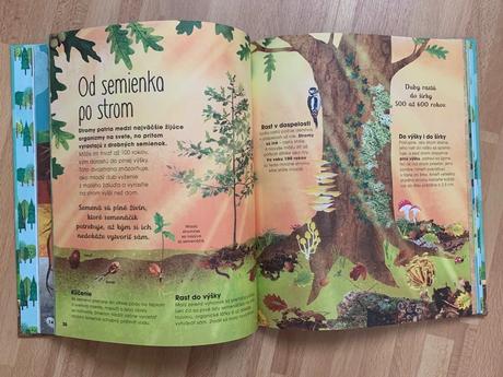 Jen green - tajomstvá stromov,