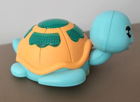 Chodiaca korytnačka, 