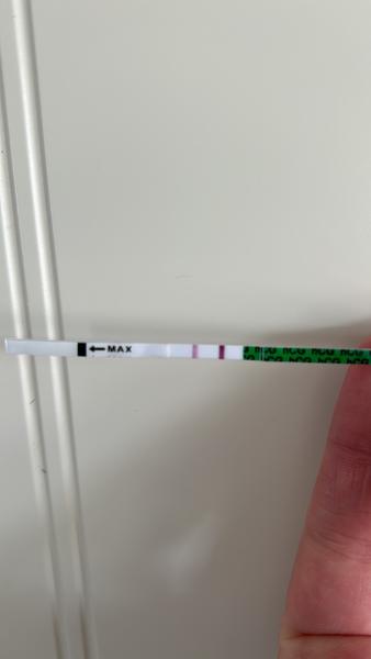 Test bledne: Má ráno tmavšiu čiarku?