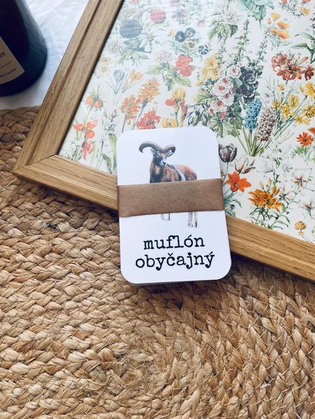 Zvieratká v slovenskom lese - komunikačné kartičky,