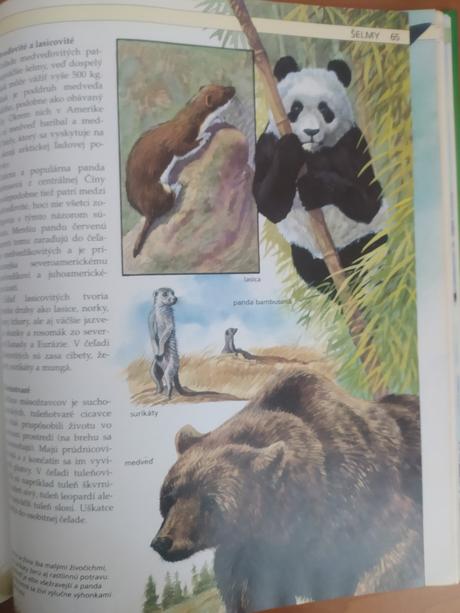 Stručná detská encyklopédia prírody (1992), 