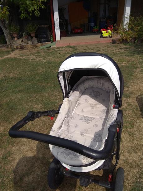 Kočík buterfly, dorjan,dorjan danny sport prestige