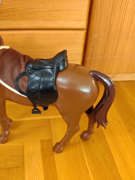 Konik, 