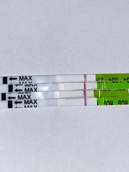 Klamú Pepino testy?