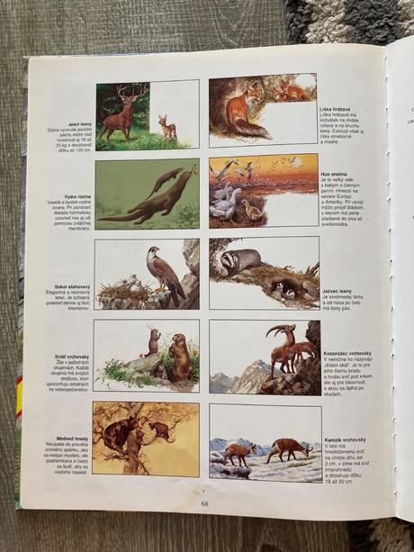 Zvieratá európy-prvé vyd.1997, 