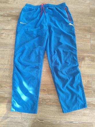 Puma, puma,xl