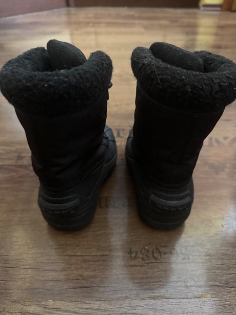 Snehule sorel, sorel,24