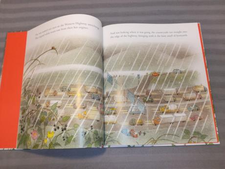 Bob graham - home in the rain hb nsp23,