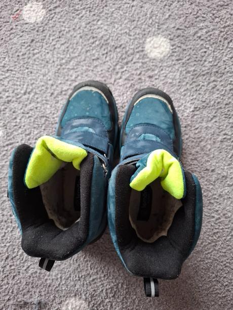 Snehule, coccodrillo,34