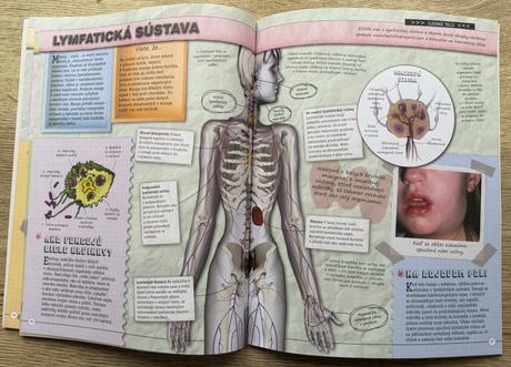 Kniha ľudské telo iveta výrašteková-dalmádyová,