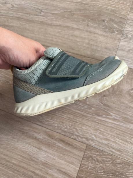 Ecco vel.26, ecco,26