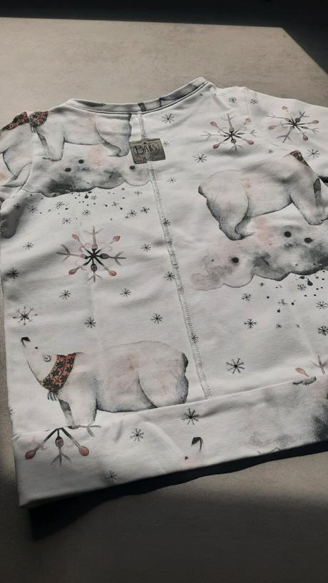 Mikina s ľadovým medveďom, 80