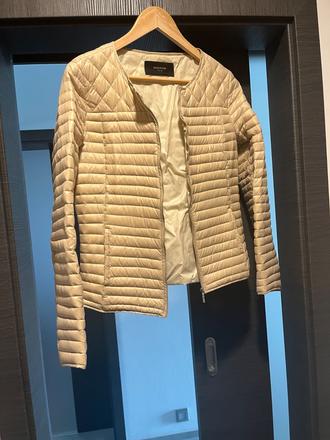 Jarná budnička reserved, reserved,40