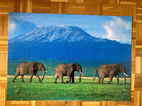 Puzzle obraz slony, 