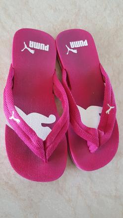 Papucky, puma,30