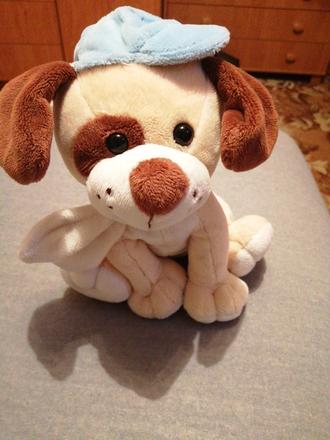 Mam na predaj plysiaka psíka, 