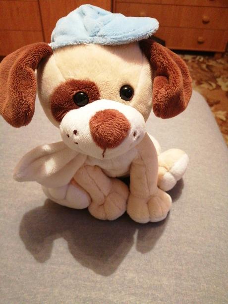 Mam na predaj plysiaka psíka, 