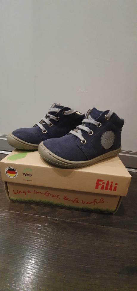 Filii - gecko ocean m  super cena, filii,24